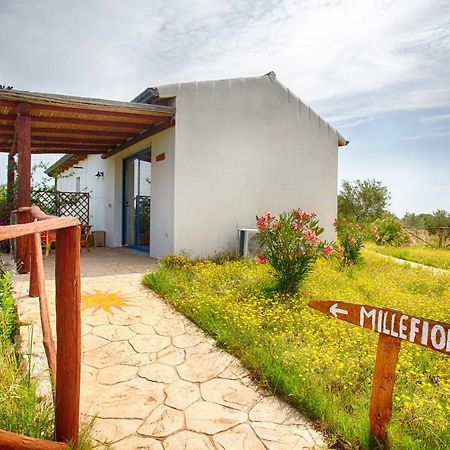 Вилла Agriturismo Mieleamaro Ольбия Экстерьер фото