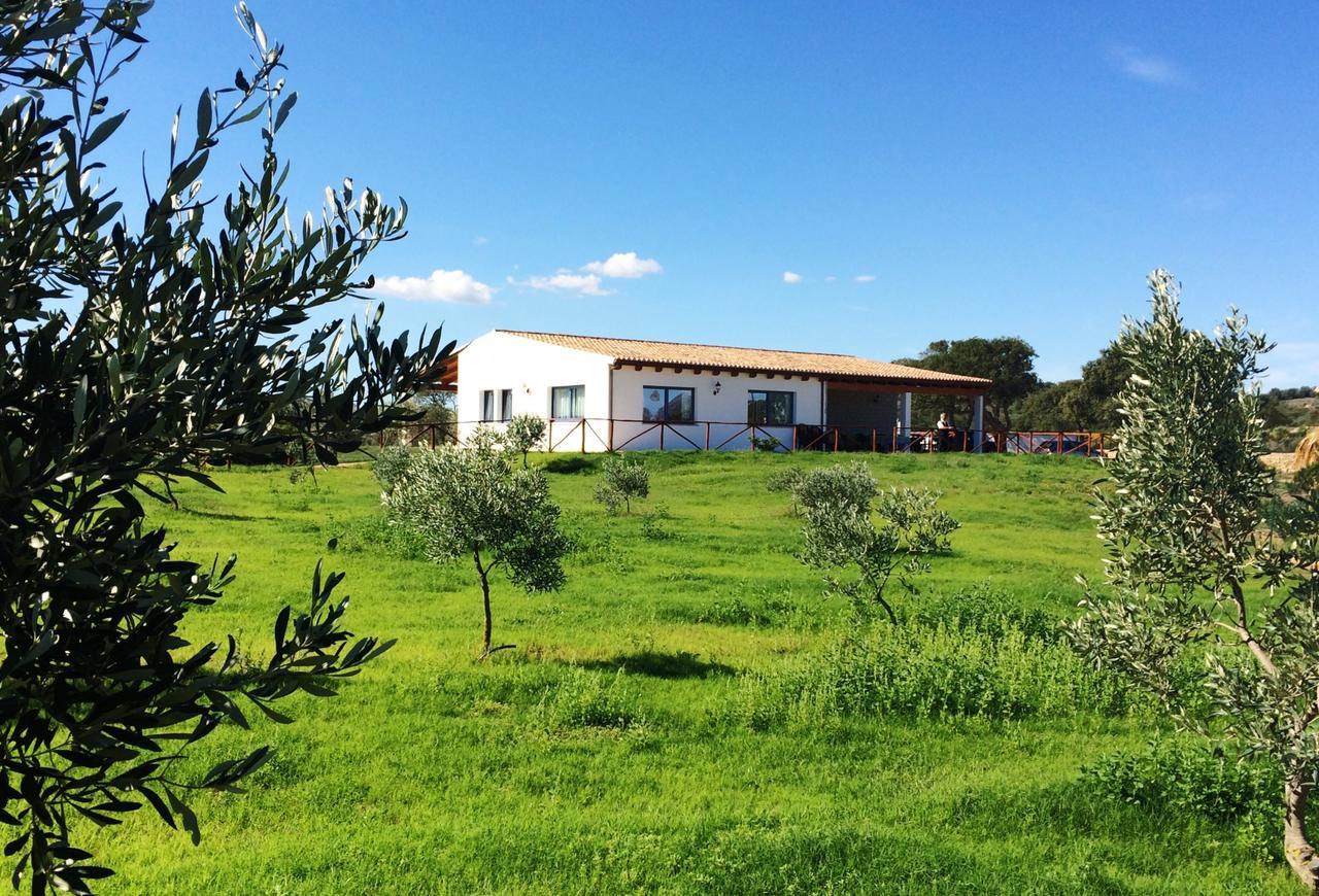 Вилла Agriturismo Mieleamaro Ольбия Экстерьер фото